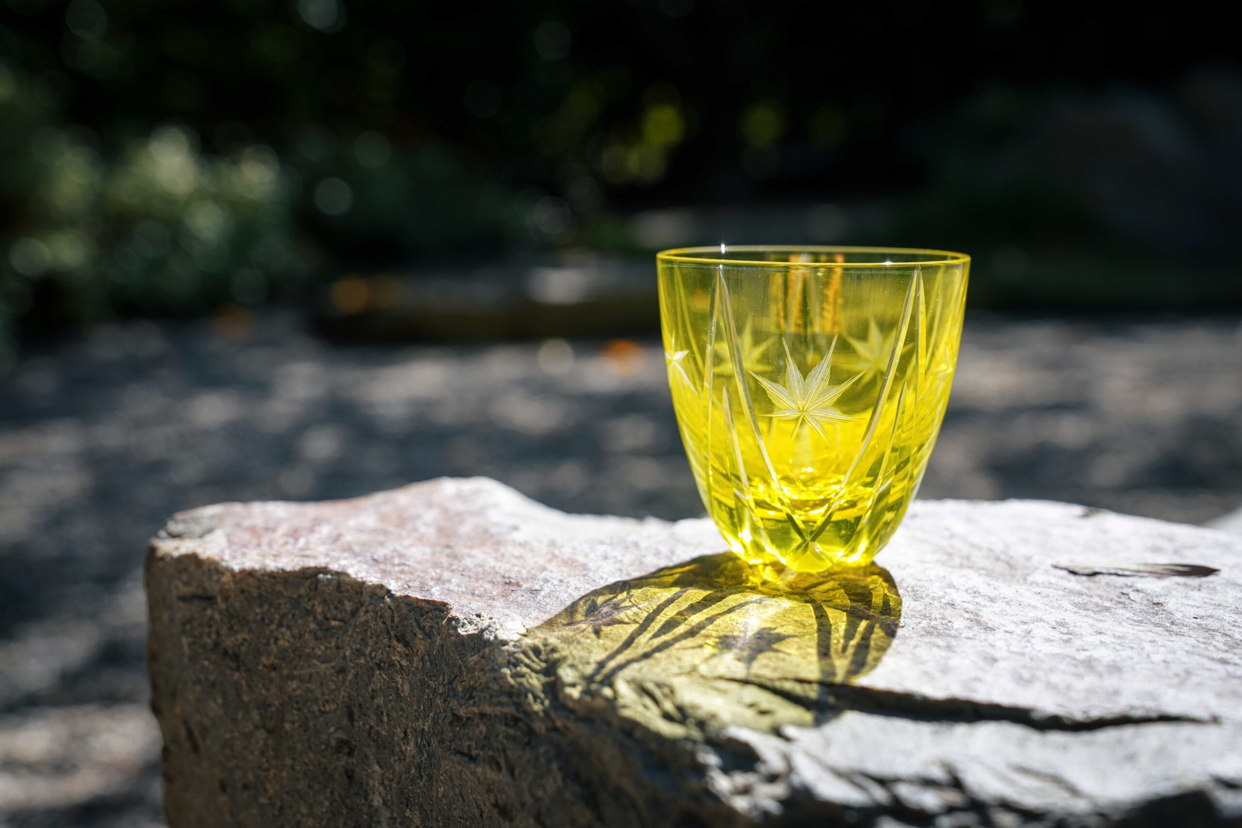 Edo-kiriko" Japanese maple" on the stone at the Zen garden. (wide angle)